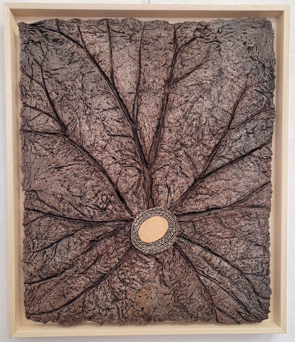 empreintes solaires, réf kd5 bas relief en papier, empreintes végétales, 53x45 cm, 2023